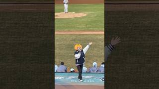 【Wingstars】#欣0 #紀慶然 #冬季聯盟@台中洲際棒球場 20241214 #台湾チア #cheerdance #cheerleader #cpbl #wingstars #啦啦隊