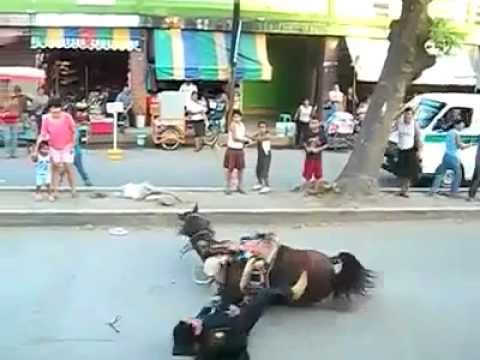 download lagu mp3 mp4 Cavalo Cansado, download lagu Cavalo Cansado gratis, unduh video klip Cavalo Cansado