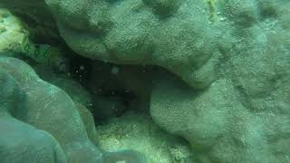 20 August 2019 nha trang