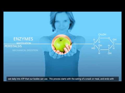 Respiração celular - dublado (pt-br)