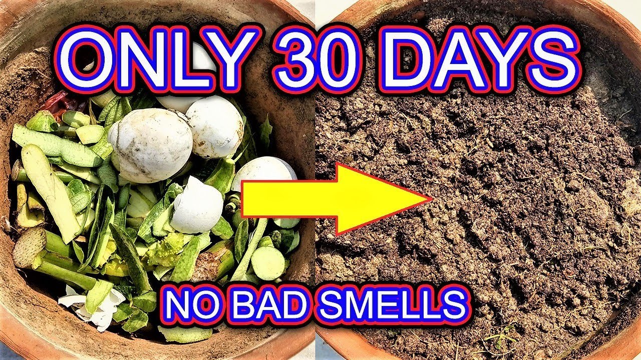 What is kitchen waste recycling? Tipseri