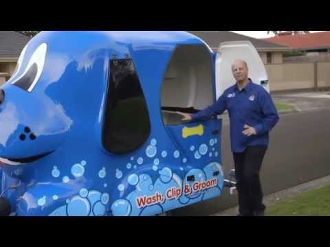 Inside a Blue Wheelers Dog Wash & Grooming Mobile Salon