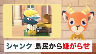 【あつ森deニュース】シャンク島民から嫌がらせ/ちゃちゃまる初ライブ/第２回大喜利大会【ペーターのほのぼのにゅーす#2】