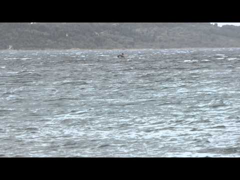 Ciklona Vladimir - Gumenjak vs Jugo