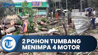 Bogor Hari Ini: 2 Pohon Tumbang di Pasar Cibinong Menimpa 4 Motor dan 1 Mobil, Ini Penyebabnya