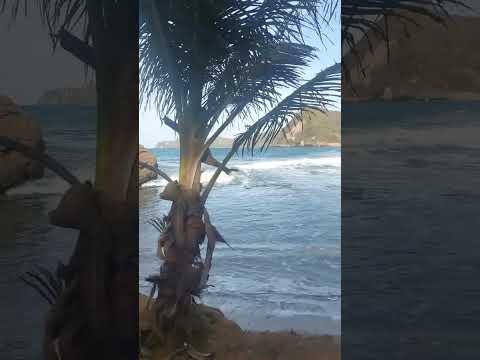 Playa Chaguaramas de Loero cerca de Río Caribe Edo Sucre