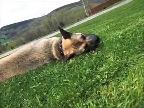 051314 wiley otis mowing day