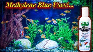 Methylene Blue Medicine Uses!. Fish Egg Fungus And Many Diseases Prevention / Fish Aquarium Tamil