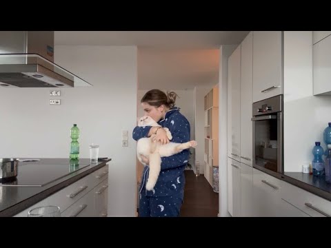 I’m back -Neues Jahr, Wohnungsupdate, random Vlog