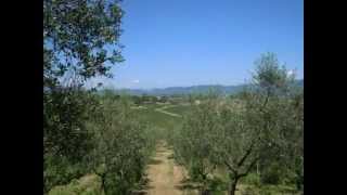 preview picture of video 'Bike ride to Cerreto Guidi in Tuscany Italy'