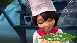 Pixie Hollow Bake Off (2013) Video