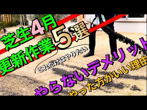  3月の芝生の手入れ方法は？元気に成長するための5つのヒント！  庭園