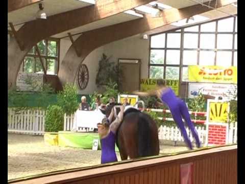 CVI** Krumke 2010 - Seniorteam Krumke (Pflicht)