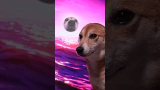 Download lagu Im ok, I'm fine. GWENCHANA...🥲 mp3 Download lagu Im ok, I'm fine. GWENCHANA...🥲 mp3