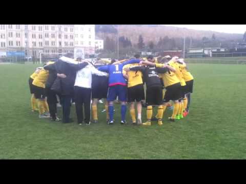 07.11.2015 | 1. FC Wacker Plauen - SpVgg Grünbach/Falkenstein