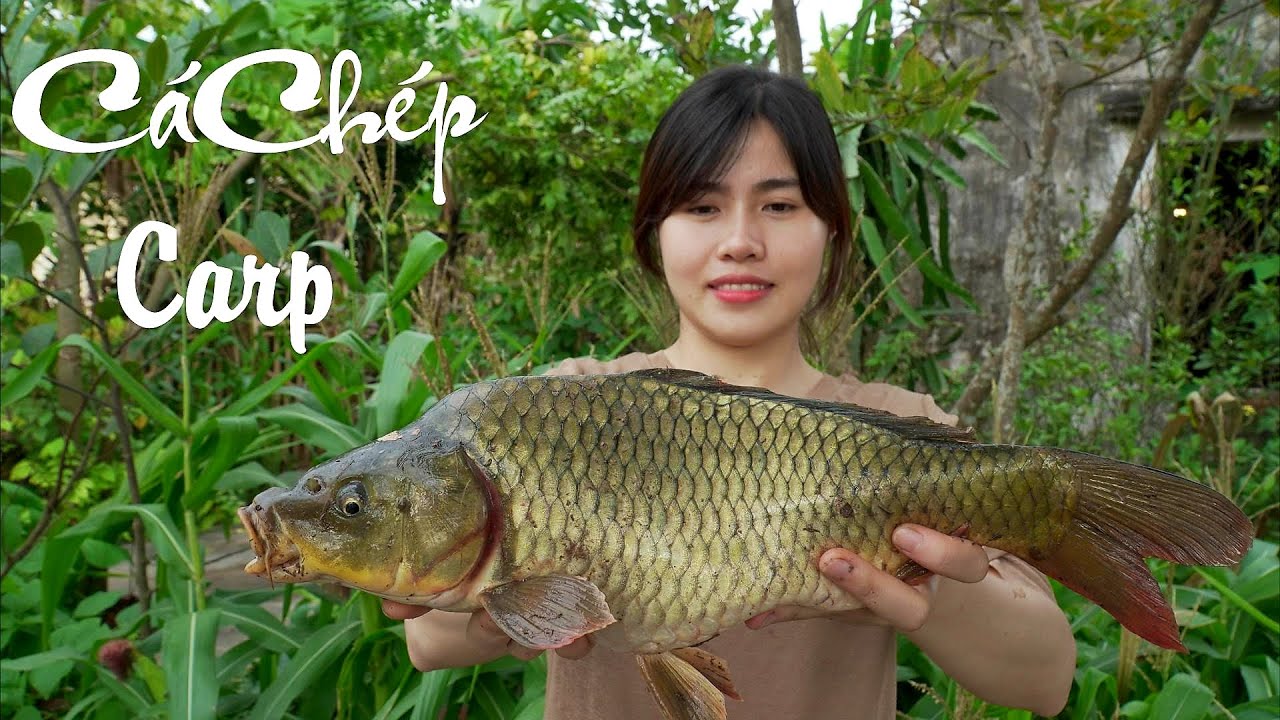 Cách Nấu Cá Chép