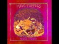 Meat Puppets - New Leaf (Demo)