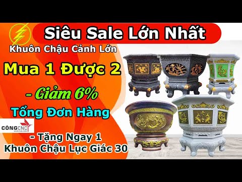 Siêu Sale Lớn Nhất Khuôn Chậu Cảnh Lớn - Ưu Đãi KHỦNG Mừng Sinh Nhật 6 Tuổi MUA 1 ĐƯỢC 2