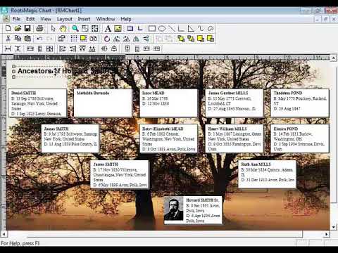 rootsmagic 7 basic commands rootsmagic 7 basic commands
