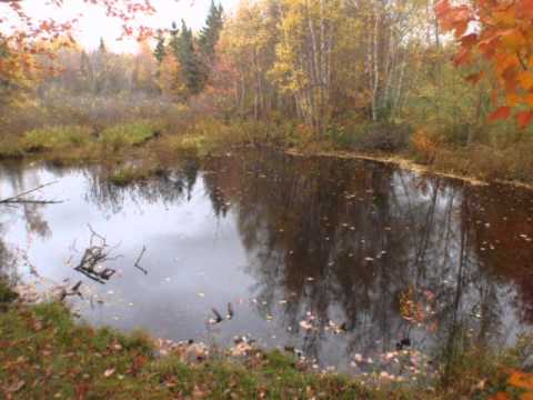 Big Sciota video