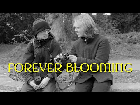 FOREVER BLOOMING | Trailer