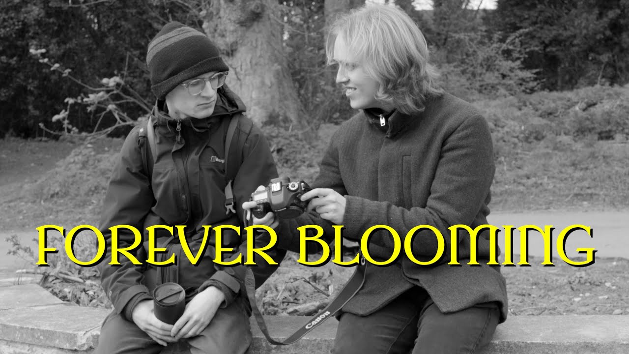 FOREVER BLOOMING | Trailer