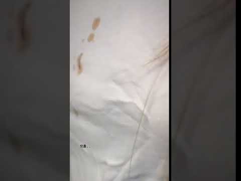 180909 Yoonjo - Instagram Video feat. Euijin