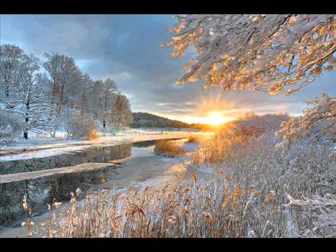 VESELIN VESA PAULJESKOVIC - NJAVA NJINJZE.