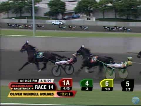 2009 Oliver Wendell Holmes - The Harness Edge