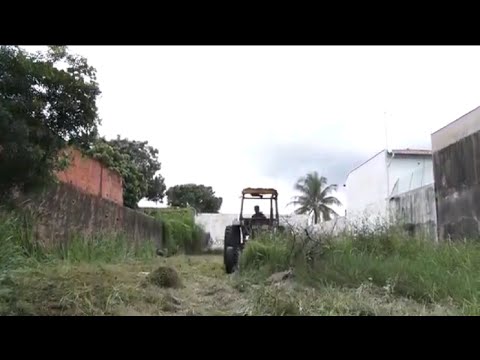 Prefeitura realiza limpeza de terrenos particulares