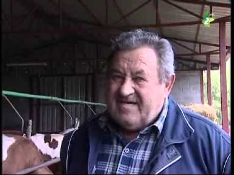 TV Magazin 27.4.2014. - ТВ Маґазин 27.4.2014.