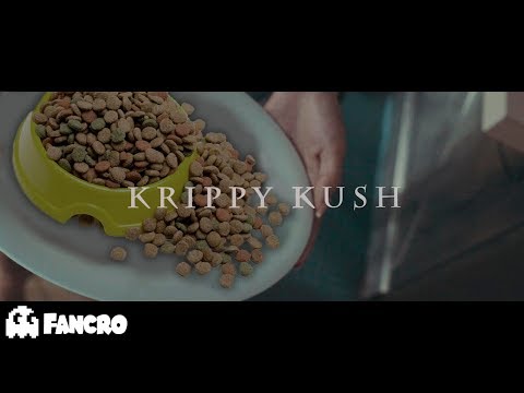 Farruko, Bad Bunny, Rvssian - Krippy Kush (Cover Perros)
