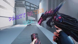 🎉𝓟𝓪𝓻𝓽𝔂 𝓘𝓷 𝓣𝓱𝓮 𝓤𝓢𝓐 🎉 - 𝓥𝓪𝓵𝓸𝓻𝓪𝓷𝓽 𝓜𝓸𝓷𝓽𝓪𝓰𝓮