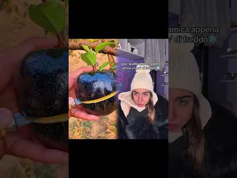 #fyp #foryou #parati #viral #foryourpage #humor #comedy #pov