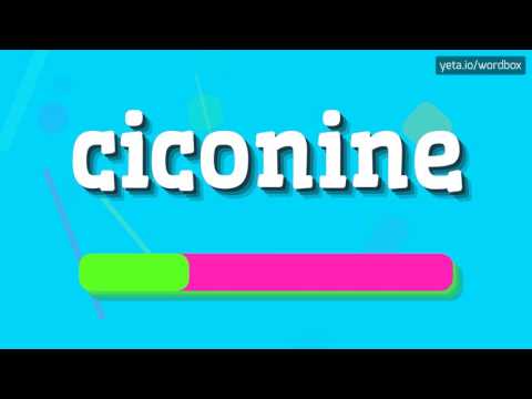 CICONINE - HOW TO PRONOUNCE IT!?
