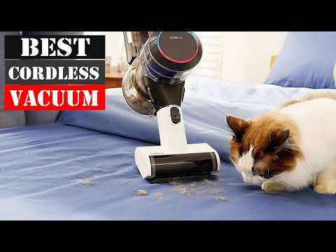 The Best Cordless Vacuum of 2023