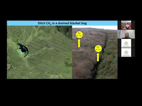 CAWS Seminar Series, Fall 2021 - Dr. Mike Peacock