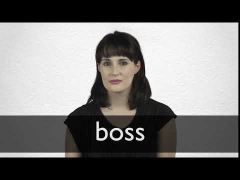 Boss Synonyms | Collins English