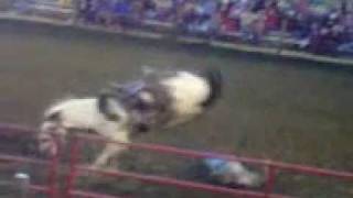 preview picture of video 'Chuck Domeyer 2011 Edgewood Iowa Rodeo'