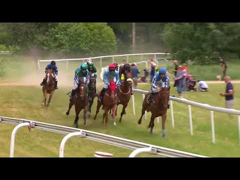 2018.06.16 Svenskt Champion Hurdle - Luris Pegasus