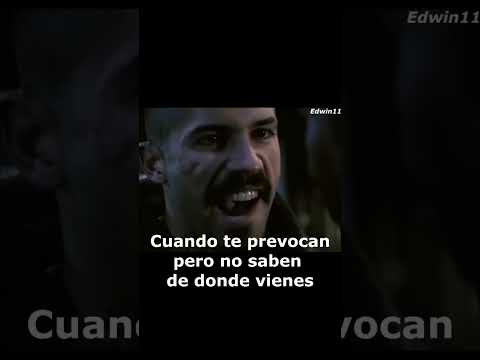 #shorts Undisputed ll Boyka vs chambers