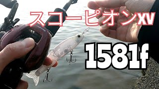 スコーピオンxv1581fロッドの使用レビューです。リールはスコーピオンxt1001です。