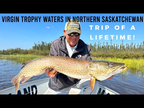 Virgin Trophy Waters In Northern Saskatchewan - Trip Of A Lifetime!