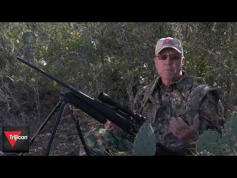 Trijicon Tip Calling Bobcats