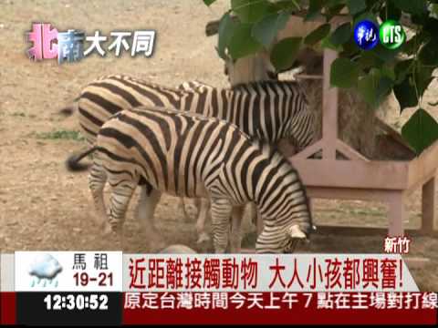 彷彿置身希臘 動物園變"溼樂園"!
