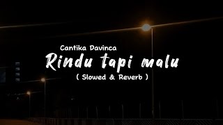 Download lagu RINDU TAPI MALU - Cantika Davinca ( Slowed & Reverb ) mp3 Download lagu RINDU TAPI MALU - Cantika Davinca ( Slowed & Reverb ) mp3