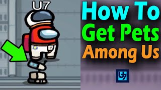 How To Get Pets In Among Us