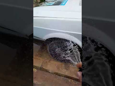 Grupo de pesca rede rasgada Agricolandia Piauí