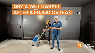 How to dry a wet carpet after a flood, leak or water spill?