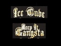 Ice Cube Keep It Gangster Lyrics Video